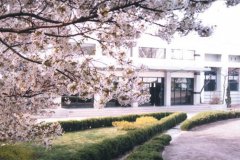 山东省青岛卫生学校2019学费是多少钱及收费标准