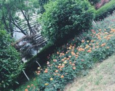 北京丰台区卫生学校宿舍条件及图片