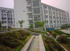 泰山护理职业学院2019招生录取分数线