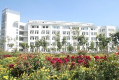 泰山护理职业学院2020招生办电话及联系方式