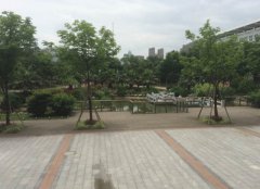 北京丰台区卫生学校2019学费是多少钱及收费标准