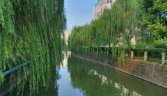 北京丰台区卫生学校2019招生录取分数线