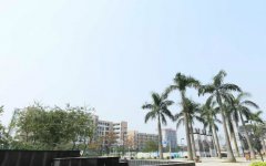 广东岭南职业技术学院医药健康学院2019招生简章及计划
