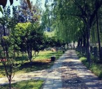 北京东城区卫生学校2019招生简章及计划