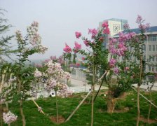 潍坊护理职业学院宿舍条件及图片