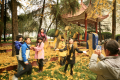 湖南幼儿师范高等专科学校2019招生录取分数线