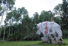 罗定职业技术学院2019学费是多少钱及收费标准