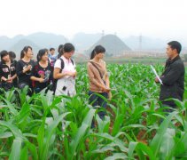山东省青岛第二卫生学校2019招生简章及计划