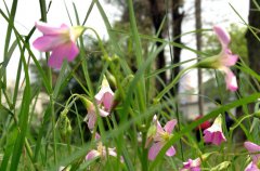 北京光明中医学院宿舍条件及图片