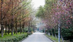 浙江医药高等专科学校地址在哪里