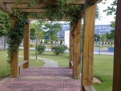 天津职业大学2019招生简章及计划