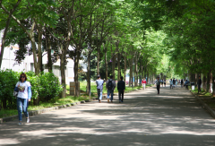 湖南文理学院2020报名时间及报名方式