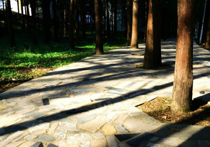 吉首大学师范学院