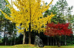 吉首大学师范学院宿舍条件及图片