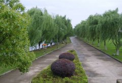 绍兴文理学院医学院地址在哪里
