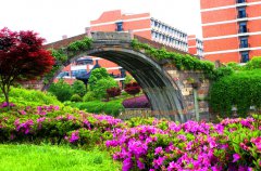 浙江工业大学药学院2019年有哪些专业及什么专业好