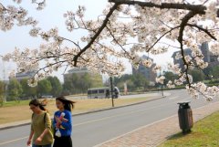 浙江工业大学药学院2020年报名时间及报名方式