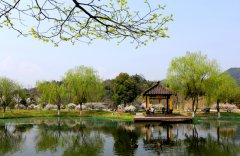 浙江工业大学药学院2019年学费是多少钱及收费标准