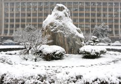 浙江工业大学药学院2019年招生简章及计划