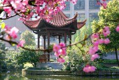 浙江工业大学药学院2020年招生办电话及联系方式
