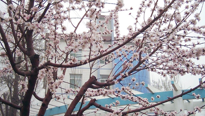 山西药科职业学