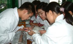 广东省男生读护理专业好吗？好就业吗