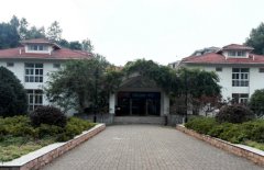 齐鲁医药学院招生老师QQ及电话