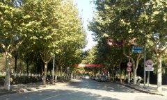 齐鲁医药学院2019有哪些专业及什么专业好