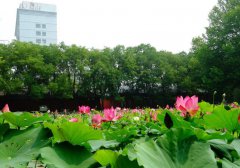 潞安职业技术学院2019有哪些专业及什么专业好