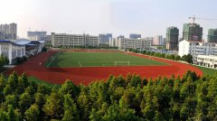 安徽医科大学临床医学院网站网址