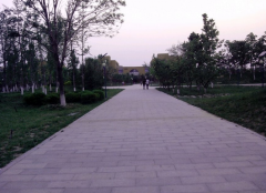 东营职业学院2020有哪些专业及什么专业好