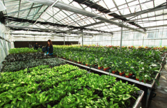 宁德职业技术学院招生老师QQ及电话