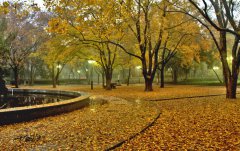 山东大学齐鲁医学部宿舍条件及图片