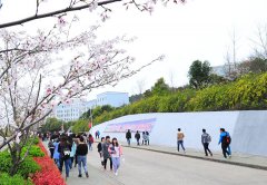 辽阳职业技术学院2019有哪些专业及什么专业好