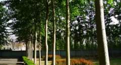 北京城市学院生物医药学部2019招生录取分数线