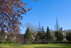 山东大学齐鲁医学部2019年有哪些专业及什么专业好