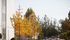 北京城市学院生物医药学部2019有哪些专业及什么专业好