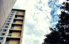 山东大学齐鲁医学部2019年招生简章及计划