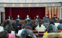 威海卫生学校2019招生录取分数线