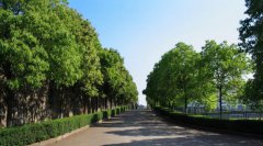 长沙卫生职业学院2019年湖南卫校排名解读