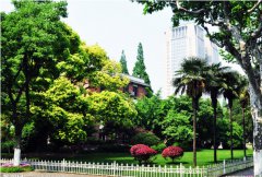 复旦大学医学院2019招生录取分数线