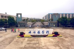 蚌埠医学院2019年招生要求