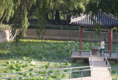 曲阜远东职业技术学院2020有哪些专业及什么专业好