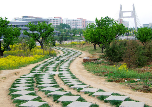 泰山医学院