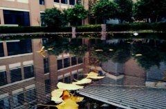 宁波工程学院2019有哪些专业及什么专业好