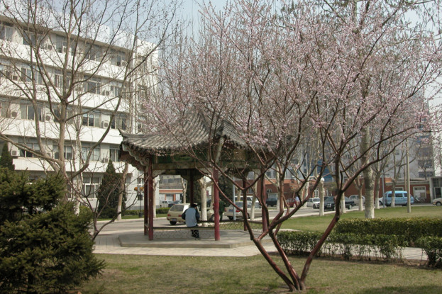 哈尔滨应用职业技术学院
