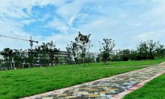 浙江中医药大学滨江学院地址在哪里