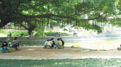 广东第二师范学院2020招生录取分数线
