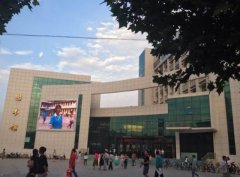华中科技大学同济医学院2019招生录取分数线