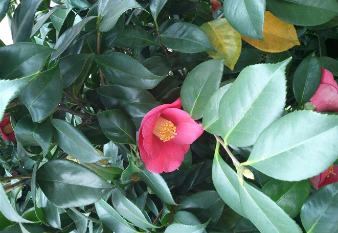 上饶师范学院
